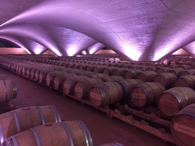 The barrel cellar at Bodega Otazu.jpg